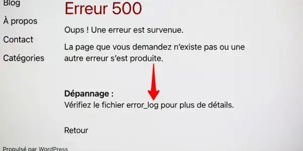 WordPress les 8 causes les plus fréquentes de l’erreur 500